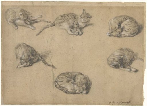 Six Studies of a Cat