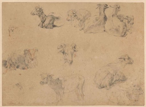Study sheet with goats and sheep