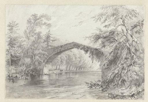 High bridge in a park