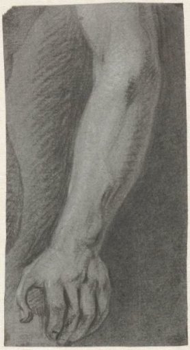 Study of an arm