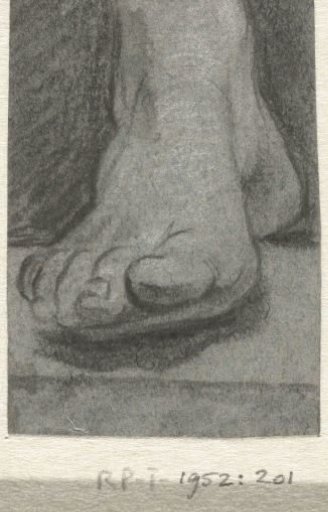 Study of a right foot, seen from the front
