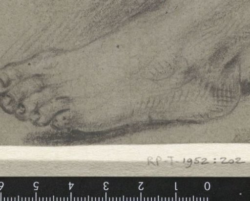 Study of a left foot