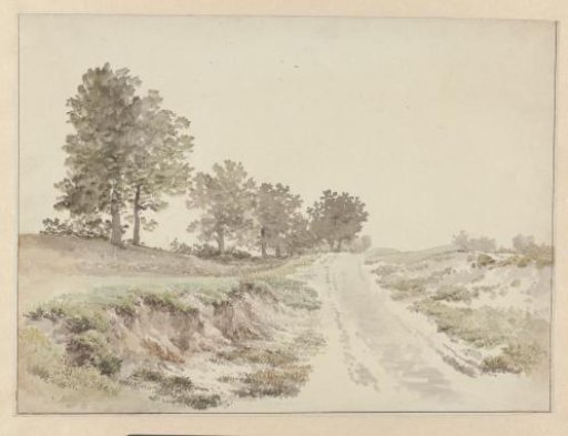 Landscape (in Drenthe?)