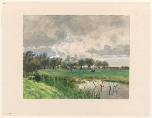 Cow grazing in a meadow
