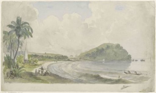 Tropical coastal landscape