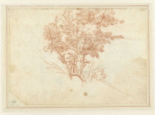 Study of a group of trees