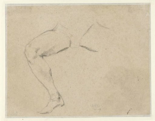 Study of a Leg