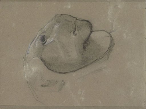 Lion's head, probably after a sculpture