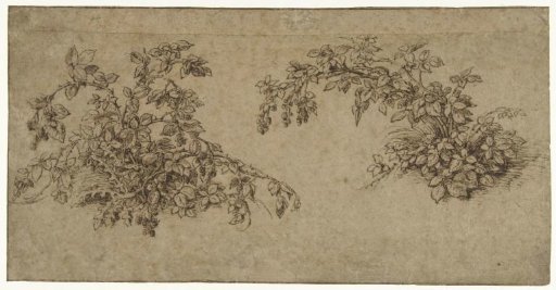 Two bramble bushes