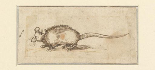 Mouse