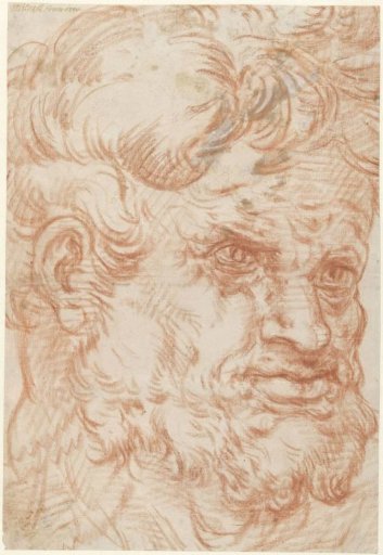 Head of a satyr-like man with luxuriant hair and beard growth, half to the right