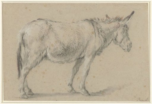 Standing donkey, facing right