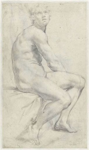 Study of a male nude