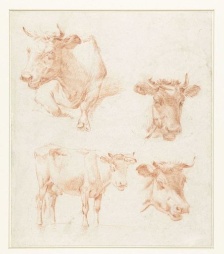 Four Cows