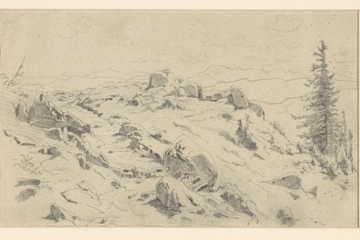 Rock blocks and pines in the high mountains