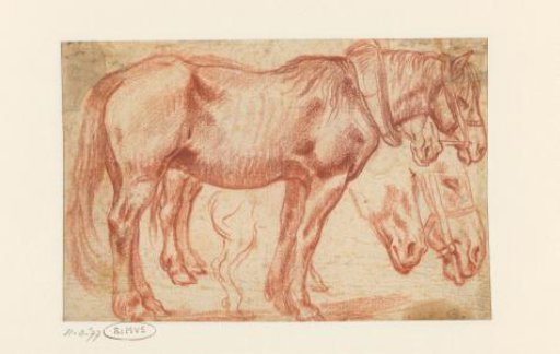 Two standing horses, horse heads and hind legs of a horse