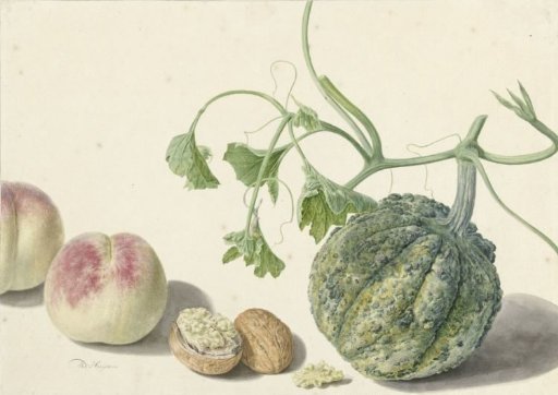 Gourd, Two Peaches and a Walnut