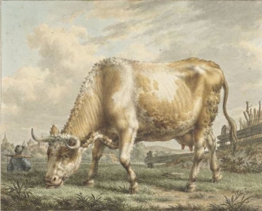 Grazing cow