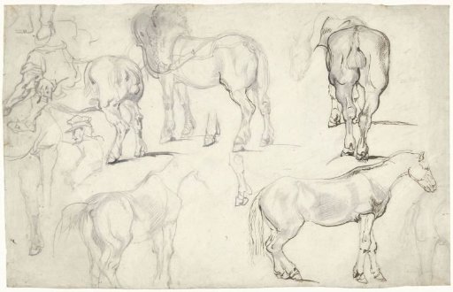 Study sheet with studies of horses