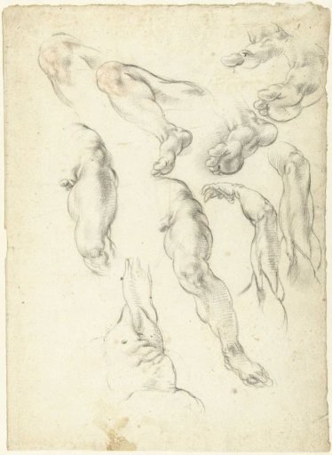 Study sheet with arms and legs