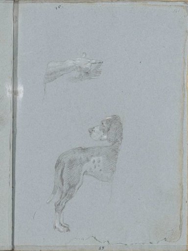 Pointing hand and a dog