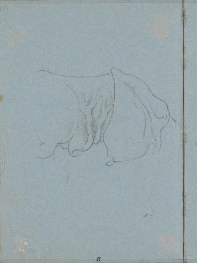 Skin of the rhinoceros Clara