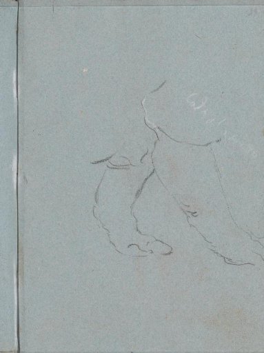 Front legs of the rhinoceros Clara