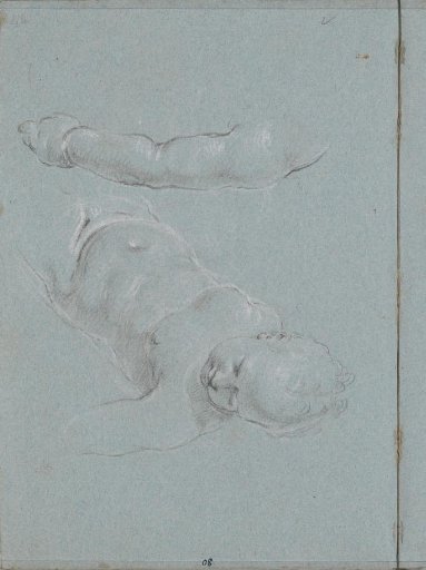 Nude upper body and arm of a putto