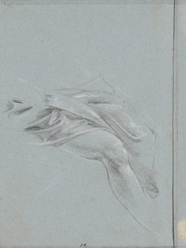 Leg, partially covered with drapery