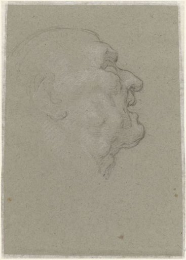 Profile of the head of an old man