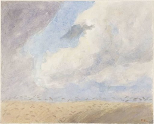 Cornfield
