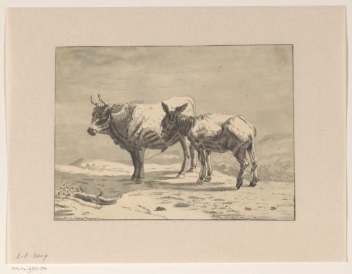 Bull and a donkey