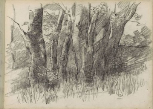 Group of trees
