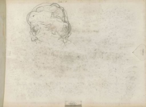 Head of a woman with spectacles