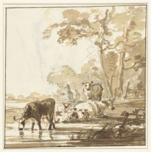 Resting cattle at a forest edge near a pool
