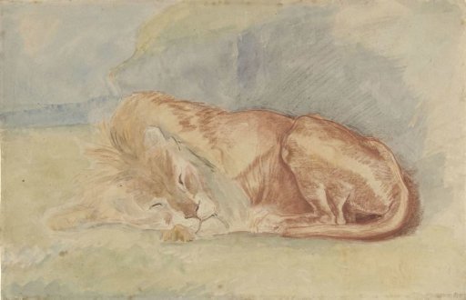 Sleeping Lion