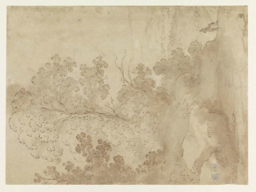 Hilly landscape with trees