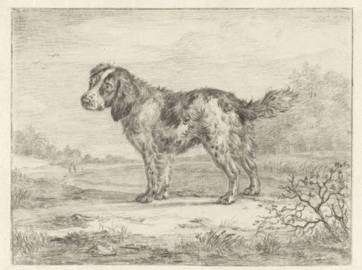 Spaniel standing in a landscape