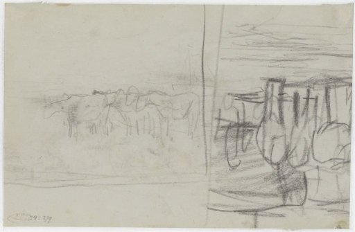 Sketches of horses