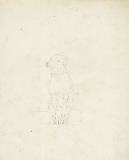 Sketch of a sitting dog