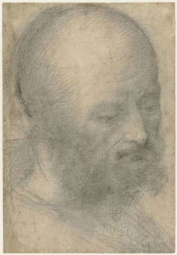 Head of an old man with a beard