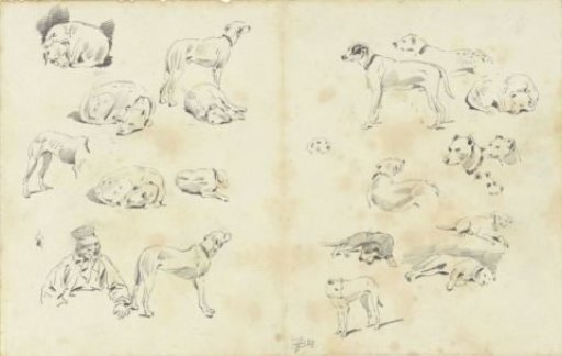 Studies of dogs