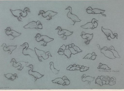 Study sheet with ducks