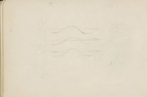 Pattern of Reed Stalks and Straight Lines