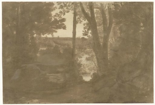 Landscape with a view through trees