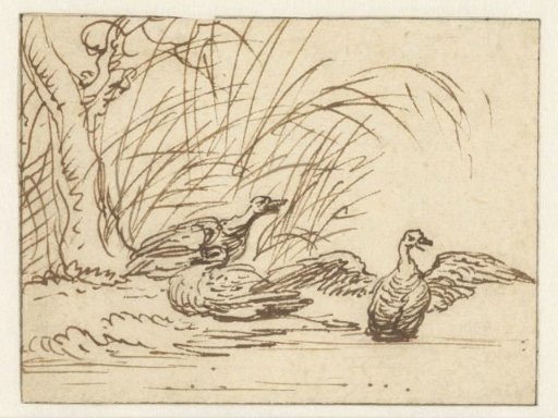 Three ducks at the water's edge