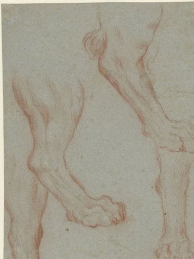 Study sheet with two lion paws
