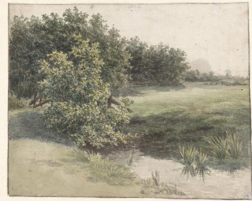 Pastoral landscape with ditch