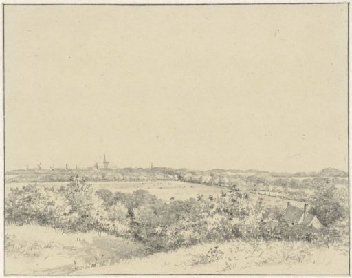 Gezicht op Haarlem, van de duinen uit gezien
