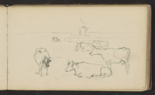 Cows in a meadow